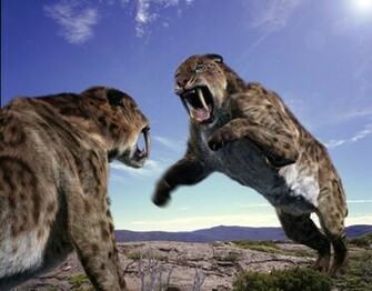 The Saber Toothed Tiger Garden Of Eaden