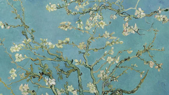 Almond Blossoms Wallpaper