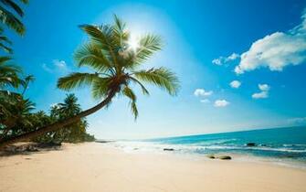 Beautiful Sunny Beach HD Wallpaper For X