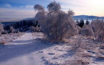 Winter Fairy Wallpaper Desktop Background