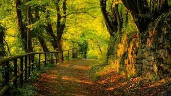 Wallpaper Fall Dual Monitor X Widescreen Desktop