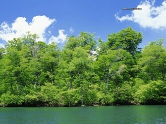 Saadi Yaari Beautiful Nature Wallpaper