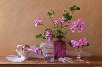 On August By Stephen Comments Off Still Life Wallpaper