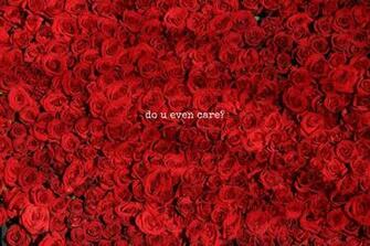 Toedit Roses Wallpaper iPhonewallpaper Red Aesthet