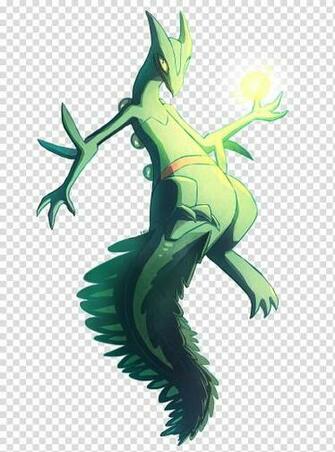 Dragon Drawing Fan Art Magnezone Sceptile Staraptor Charizard