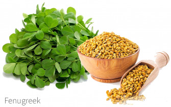 What Is Fenugreek Wallpaper