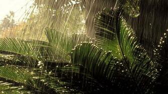 Monsoon Wallpaper