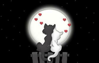 Wallpaper Love Cats Night The Moon Image For Desktop Section