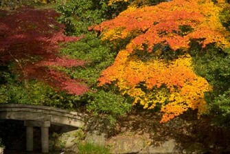 New England Fall Desktop Wallpaper In HD