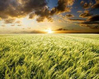 Desktop Background Nature Wallpaper Jpg