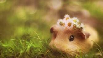 Pictures HD Cute Green Bamboo Desktop Wallpaper Background