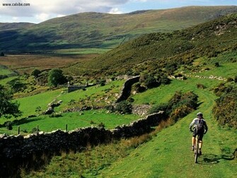 Mountain Biking Near Barmouth Wales Nature