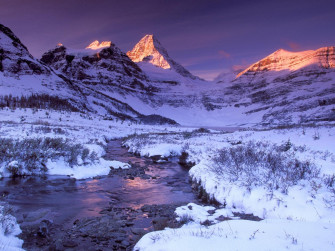 Best Collection Of Winter Wallpaper