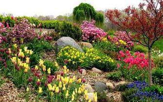 Garden Wallpaper