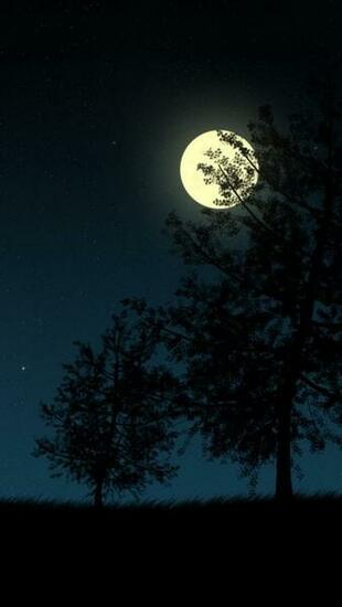 Halloween Night Wallpaper iPhone