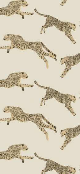 Virginia On Color And General Home Inspo Wallpaper