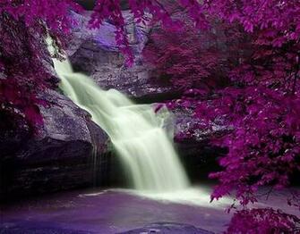 Beautiful Wallpaper HD S K P Google We Heart It