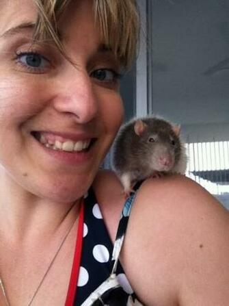 For My Cake Day Here S Remy The Rat He Sweetest Thing And Loves