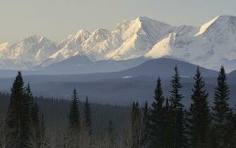 Taiga Mountains Snow Trees Forest Scenic Wallpaper