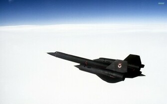 Sr Blackbird Wallpaper
