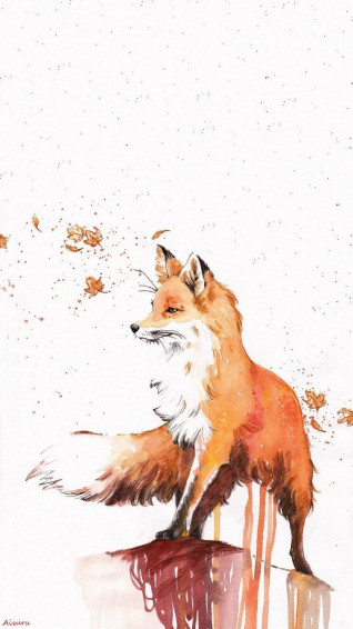 Fox Wallpaper