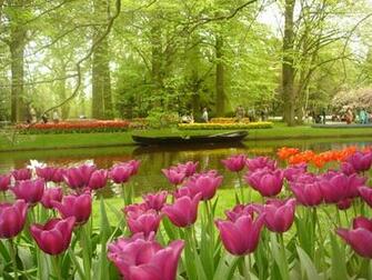 Spring Wallpaper HD Nature