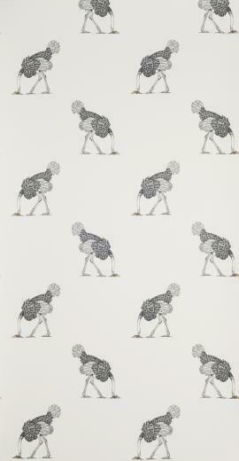 Ostrich Small Pencil On Bone Beware The Moon Hypnotic
