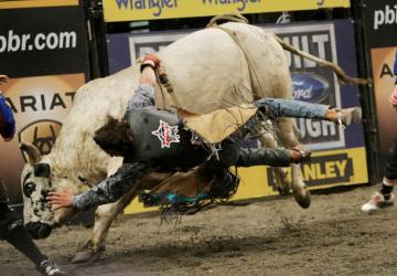 Bull Riding Bullrider Rodeo Western Cowboy Extreme Cow