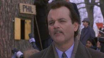 Groundhog Day HD Windows Wallpaper