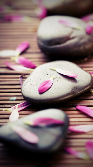 Pink Cute Petals iPhone Wallpaper HD