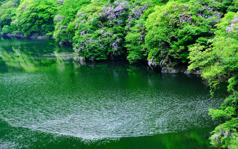 Uji Travel Japan National Tourism Organization Official