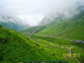 Real Nature Pictures