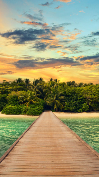 Exotic Island Forest Summer Vacation Android