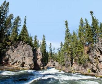 Idevice Help Us Nature Wallpaper From Apple For Earth Day