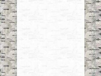 Birch Bark Wallpaper Some Real