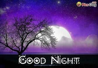 Good Night Quotes Messages And Sms With Pictures