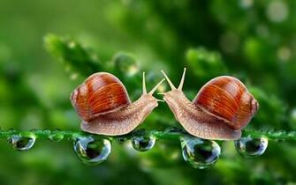 Santa Banta Nature Picture Ongur