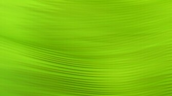 Green Abstract Wallpaper Desktop Background