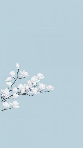 Simple Cute Aesthetic Wallpaper Phone