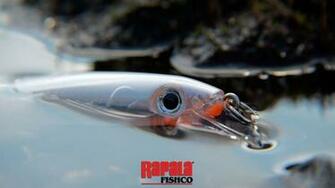 Rapala Wallpaper Image