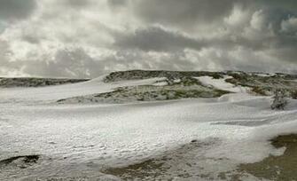 Arctic Tundra Wallpaper Image Android Apps On Google Play