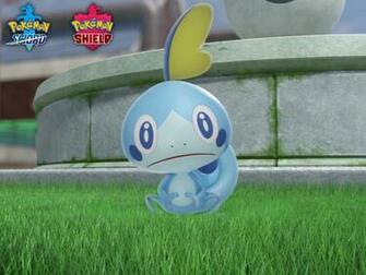 Sobble Wallpaper Ios By Fayez123sam