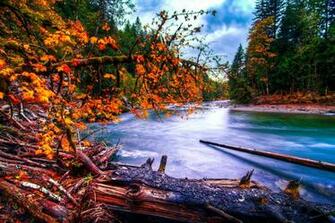Wallpaper Washington River Snoqualmie Forest Landscape