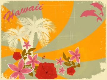 Hawaii Wallpaper Pixel Wallpaperpass