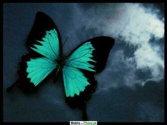 Green Jpg