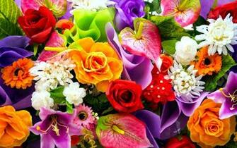 Colorful Floral Bouquet Computer Desktop Wallpaper Pictures