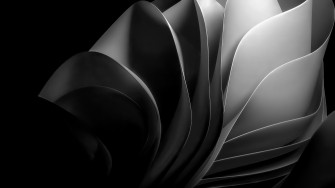 Black And White 4k Wallpaper