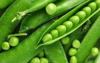 Fresh Green Peas Wallpaper