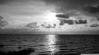 Black And White Nature Beach Seas Wallpaper Beaches