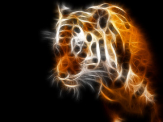 Tigers Wallpaper For Desktop